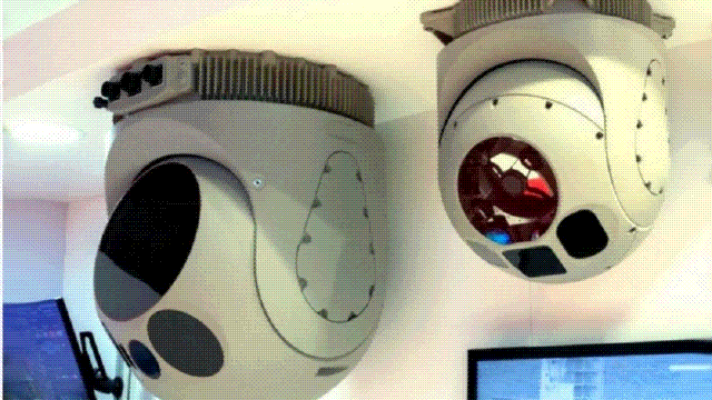 Team