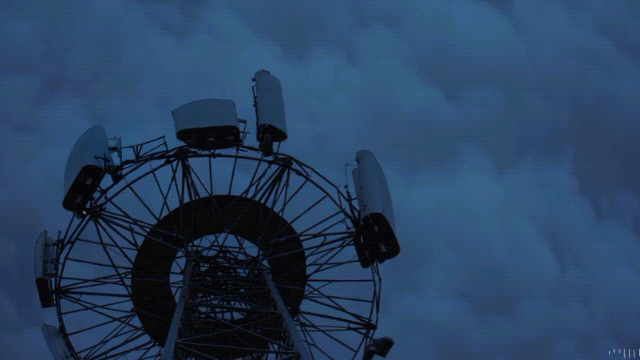 Team